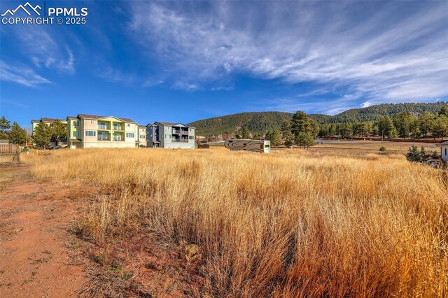 Baldwin St, Woodland Park, CO 80863