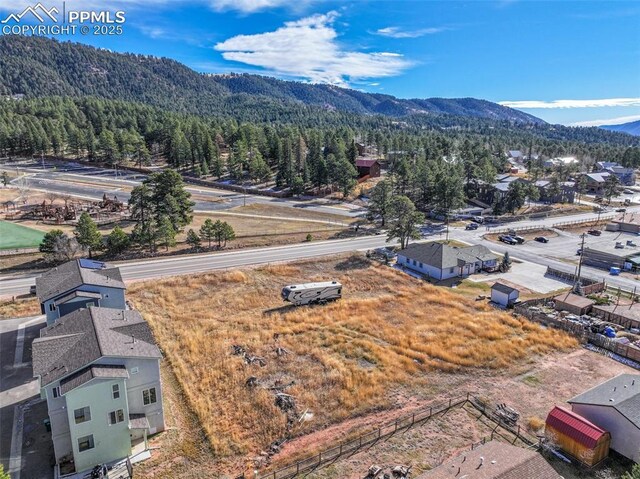 Baldwin St, Woodland Park, CO 80863