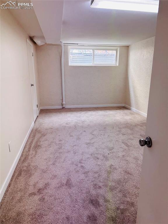 unfurnished room featuring carpet floors