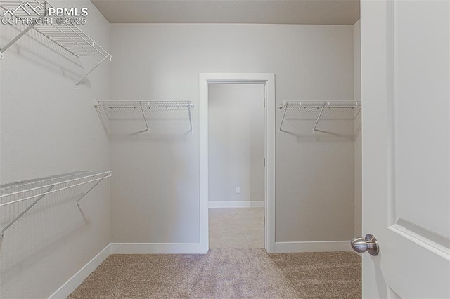 spacious closet with carpet flooring