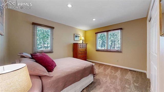 carpeted bedroom with multiple windows