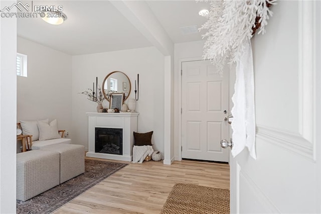 foyer entrance with light hardwood / wood-style flooring