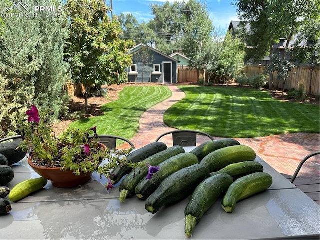 view of yard with a patio and fence