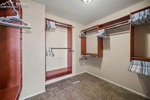 walk in closet with carpet flooring and visible vents