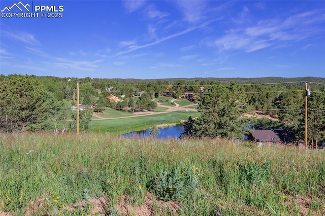 288 Piney Point Ln, Woodland Park CO, 80863 land for sale