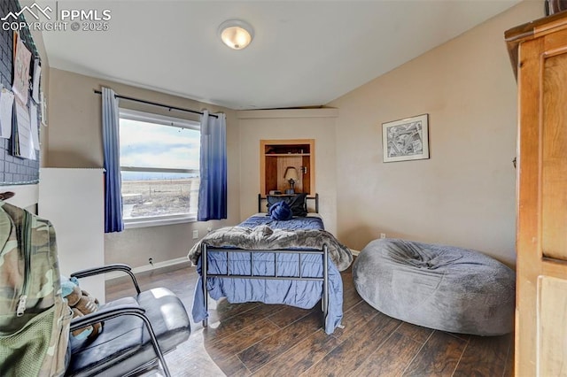 bedroom featuring wood-type flooring