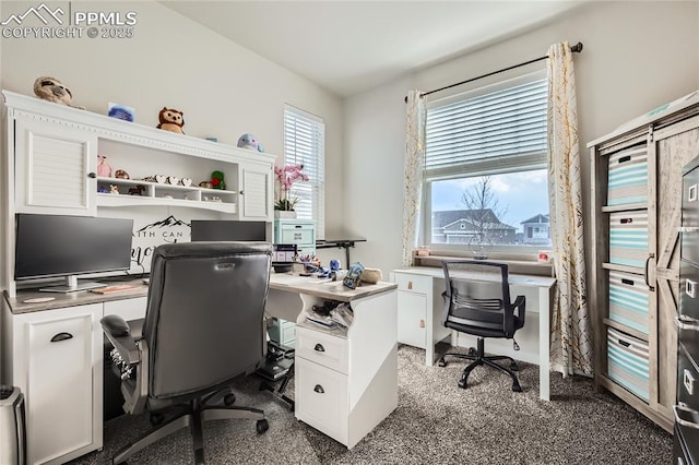 view of carpeted office