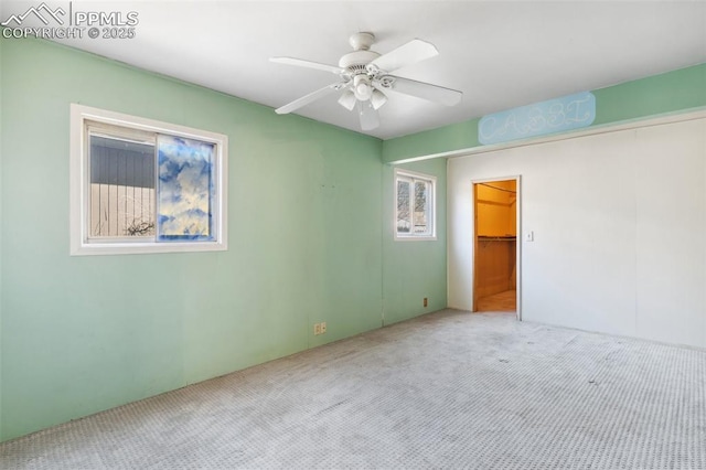 unfurnished bedroom featuring a closet, carpet flooring, ceiling fan, and a spacious closet