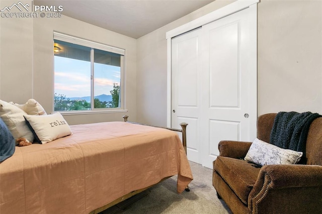 carpeted bedroom with a closet