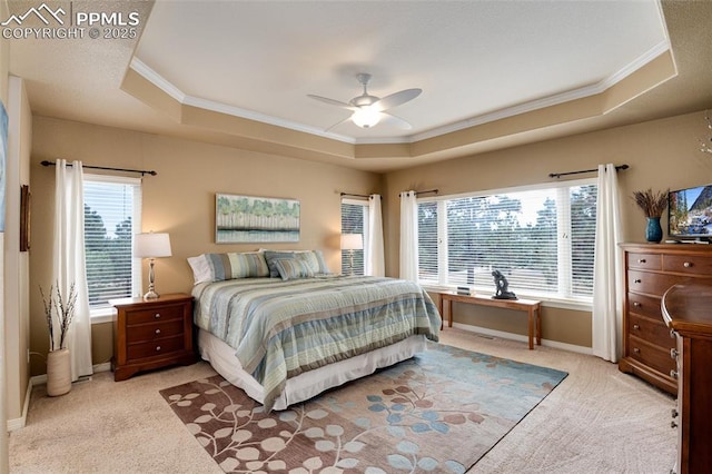 bedroom with carpet, baseboards, and a raised ceiling