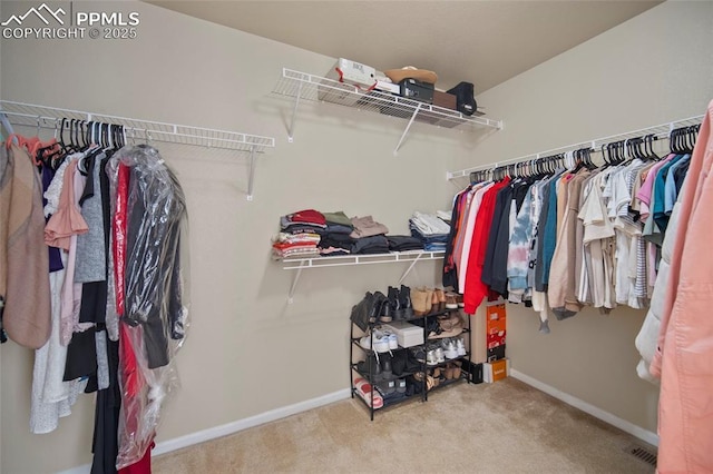 walk in closet featuring carpet flooring