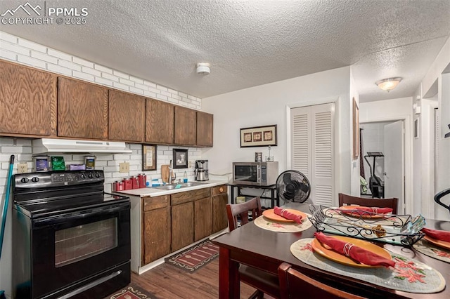 kitchen with under cabinet range hood, a sink, black electric range oven, dark wood-style floors, and stainless steel microwave