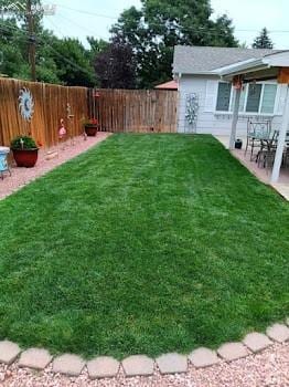 view of yard featuring a patio and a fenced backyard