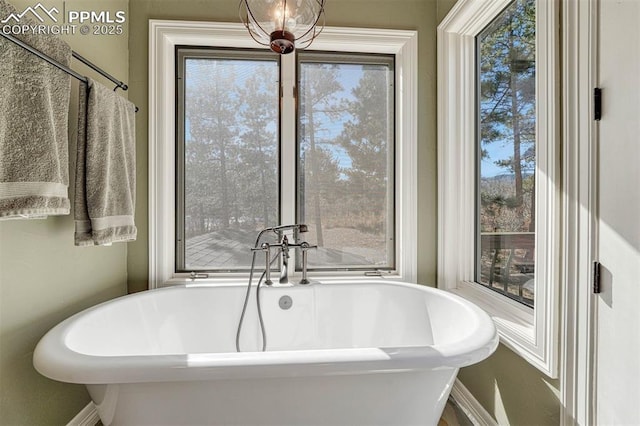 full bathroom featuring a freestanding bath and baseboards