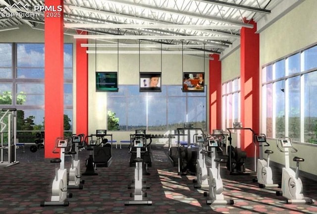 exercise room with a high ceiling