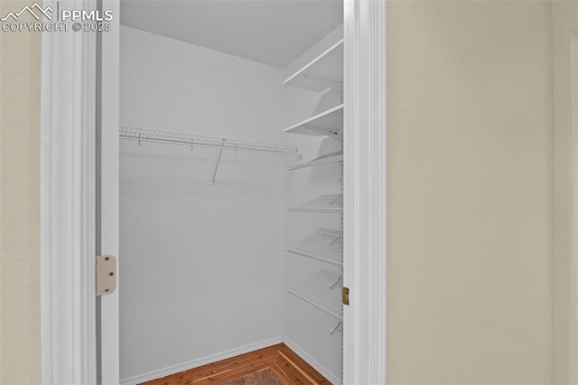 spacious closet featuring wood finished floors