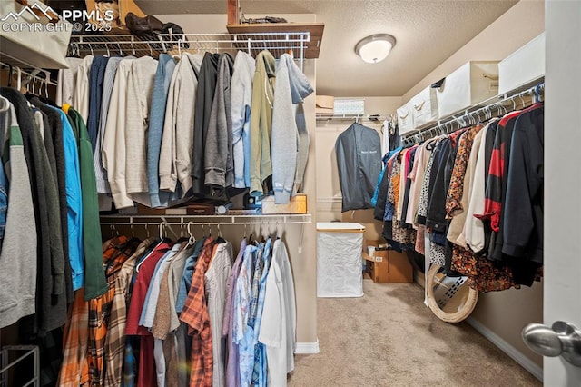 spacious closet featuring carpet flooring