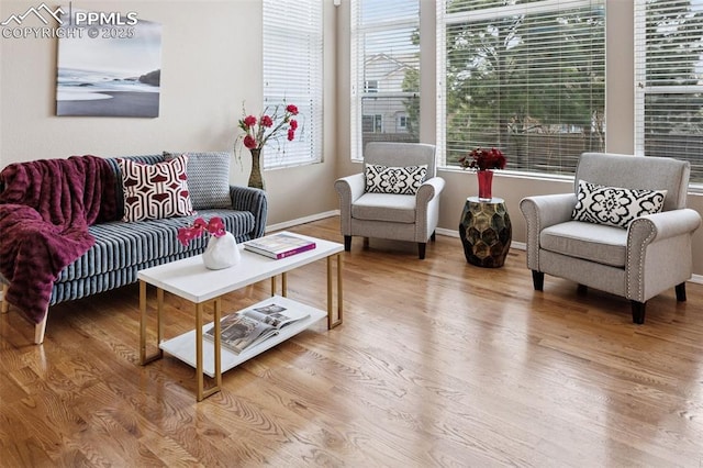 living area featuring baseboards and wood finished floors