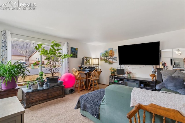 bedroom with carpet