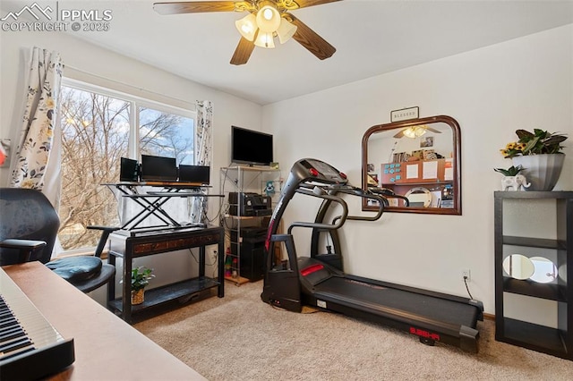 workout room featuring a ceiling fan and carpet