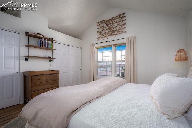 bedroom featuring a closet, vaulted ceiling, and wood finished floors