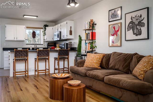 living area with light wood-style flooring