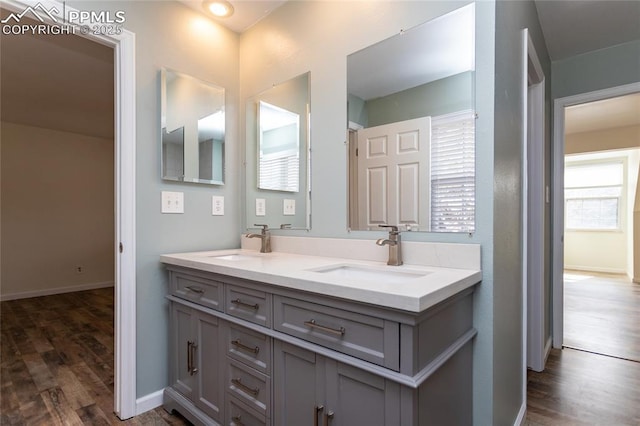 bathroom featuring plenty of natural light, a sink, and wood finished floors