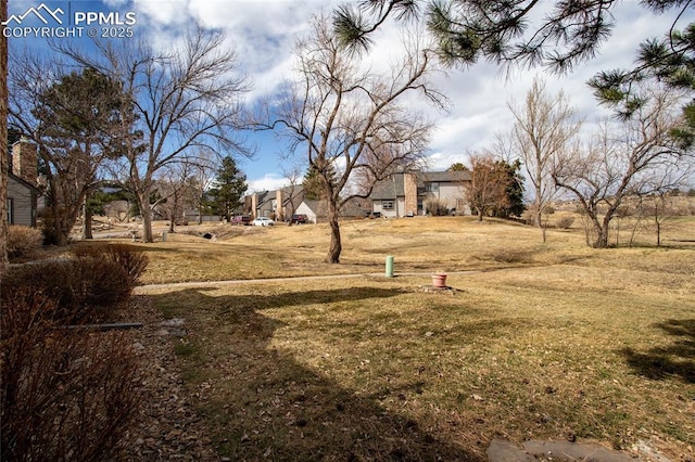 view of yard