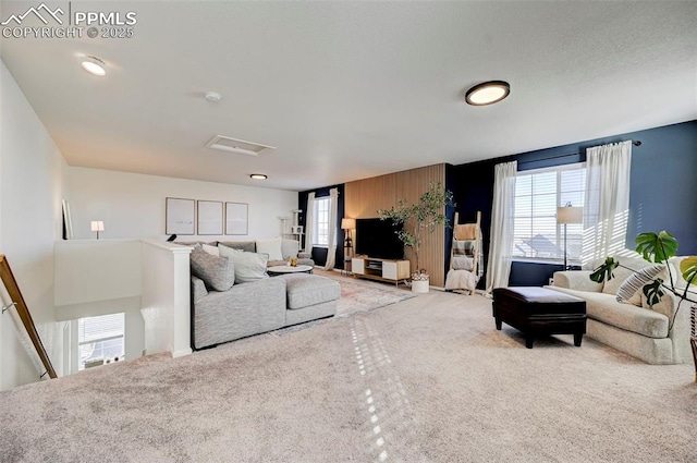 living room featuring a wealth of natural light and carpet