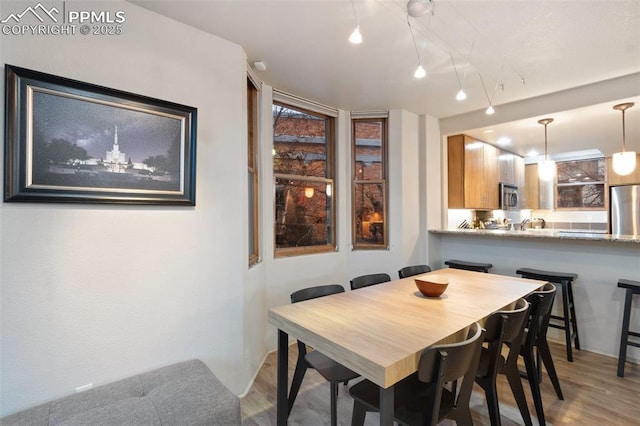 dining space featuring light wood-style flooring and track lighting