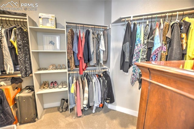 spacious closet featuring carpet flooring