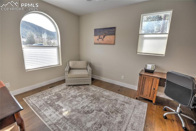 office area featuring visible vents, baseboards, a mountain view, and wood finished floors