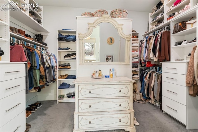 spacious closet with dark colored carpet