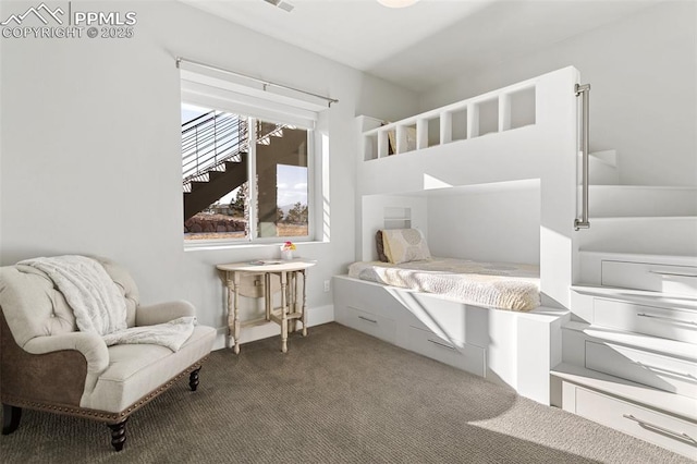 bedroom with dark colored carpet