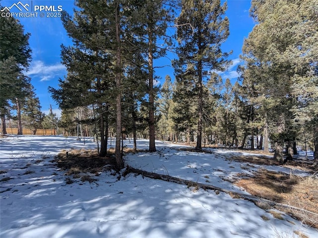 924 Will Scarlet Dr, Divide CO, 80814 land for sale