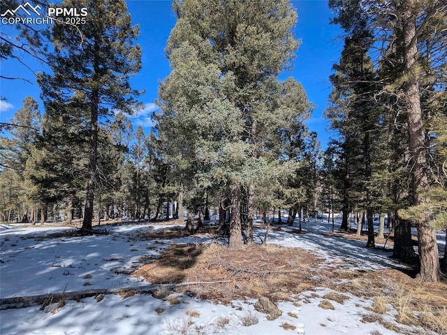 Listing photo 2 for 924 Will Scarlet Dr, Divide CO 80814