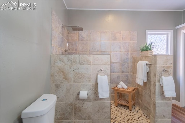 bathroom featuring toilet and walk in shower