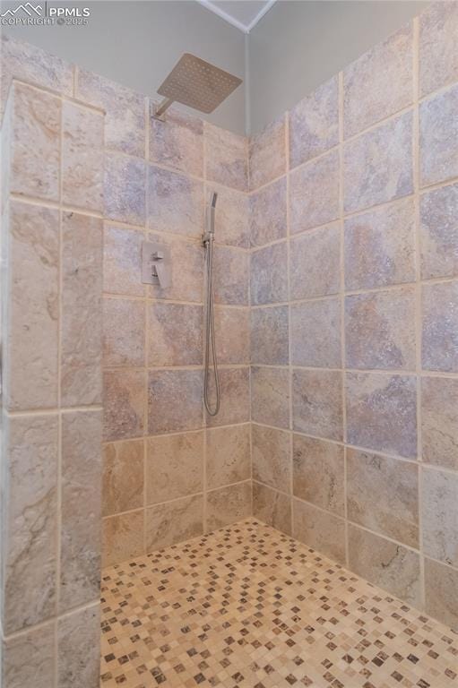 bathroom featuring tiled shower