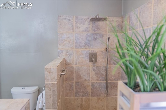 full bathroom featuring toilet, walk in shower, and vanity