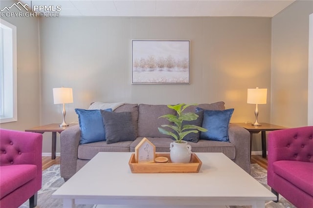 living area featuring wood finished floors