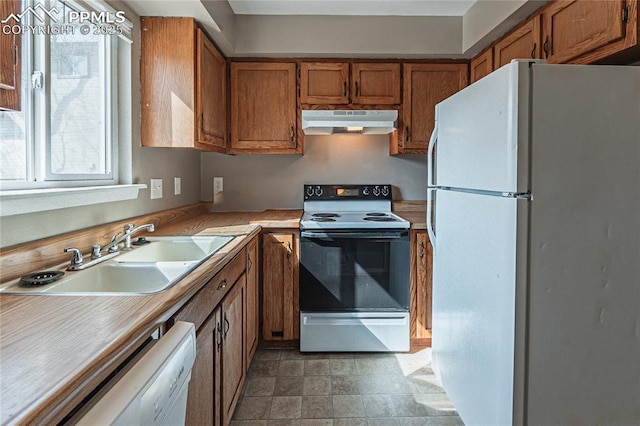 kitchen with white appliances, brown cabinets, light countertops, under cabinet range hood, and a sink