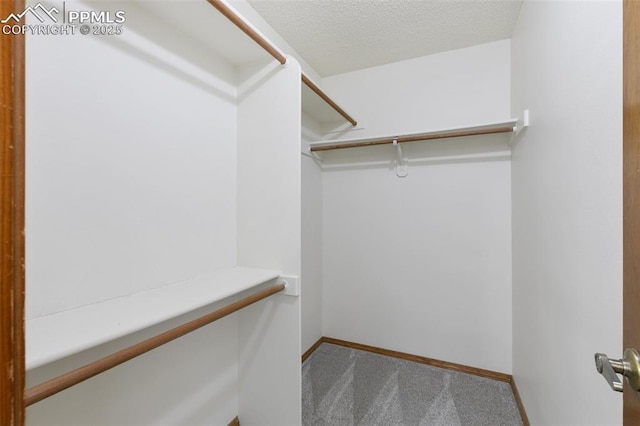 spacious closet with carpet floors