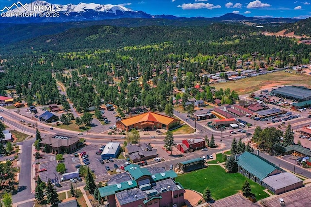 aerial view with a mountain view