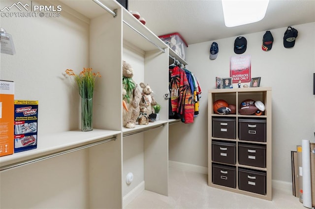 view of walk in closet