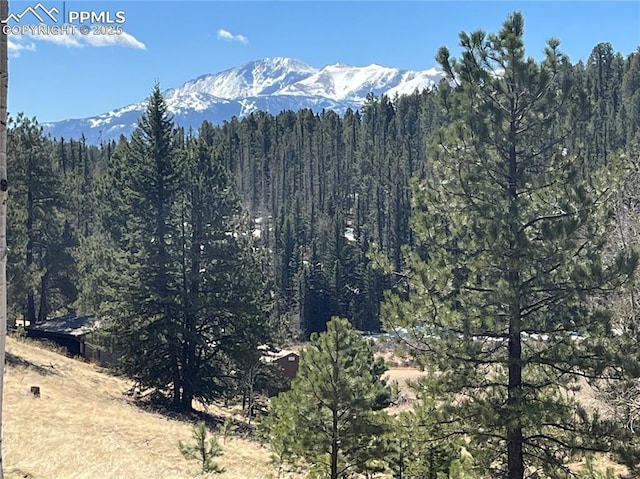 194 Rainbow Trl, Divide CO, 80814 land for sale