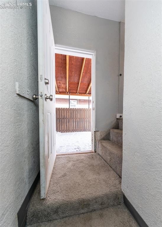 interior space featuring carpet floors and a textured wall