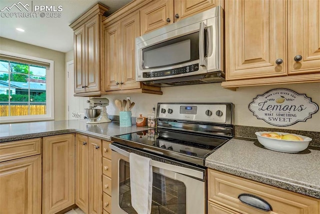 kitchen featuring a peninsula, stainless steel appliances, and dark stone countertops