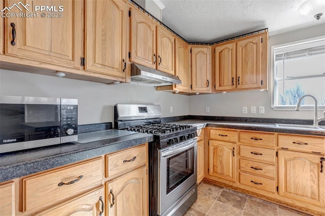 kitchen featuring light brown cabinets, under cabinet range hood, stainless steel appliances, a sink, and dark countertops