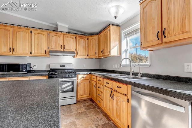 kitchen featuring a textured ceiling, under cabinet range hood, stainless steel appliances, a sink, and dark countertops