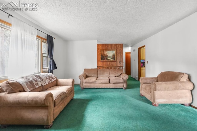 living room featuring a textured ceiling and carpet floors